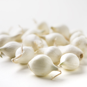 onion